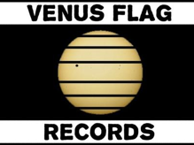 Venus Flag Records - Rozhovor